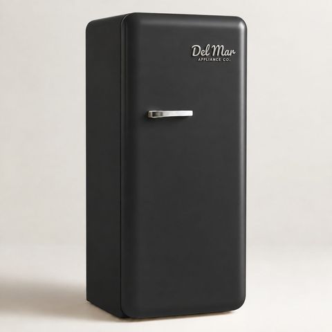 The Del Mar retro refrigerator in Black's Beach